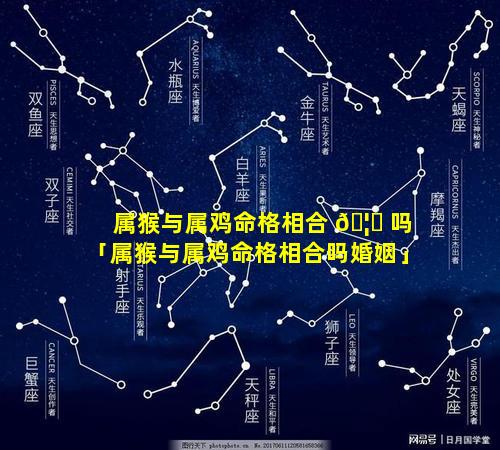 属猴与属鸡命格相合 🦈 吗「属猴与属鸡命格相合吗婚姻」
